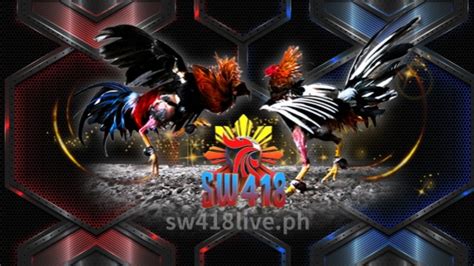 sw418 cockfight|Behind the Cockfighting Scene in the Philippines: SW418 Review.